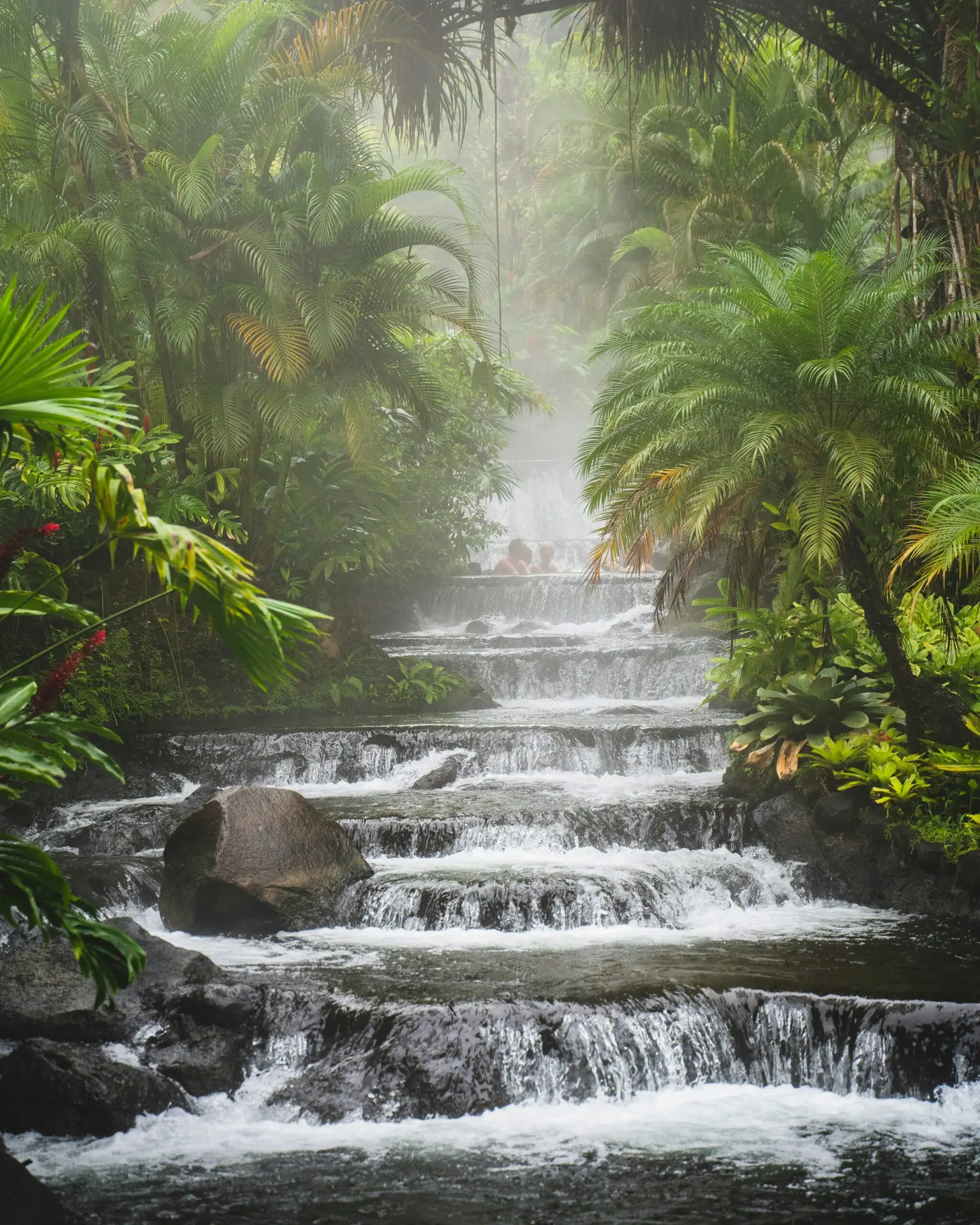 Cascade entourée d’une végétation tropicale luxuriante au Costa Rica
